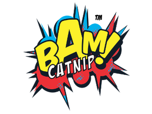 BAM!