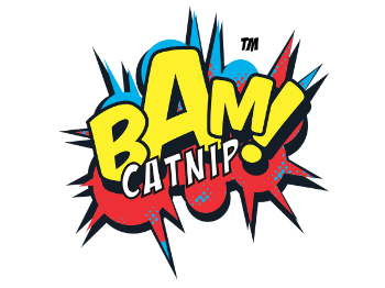 BAM!