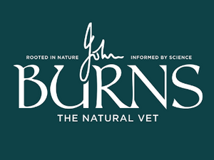 Burns