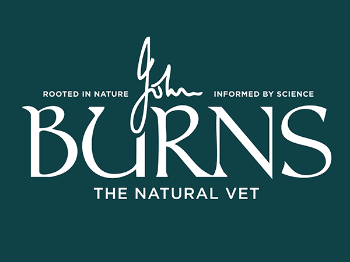 Burns