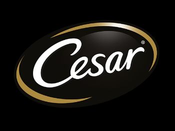Cesar