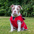 Ancol Stormguard Dog Coat Poppy Red X-Small 25cm x 1