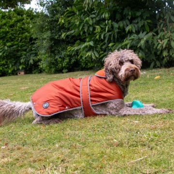 Ancol Stormguard Dog Coat Terracotta Medium 40cm x 1