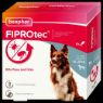 Beaphar FIPROtec Medium Dog Flea Drops 4 Tube x 1