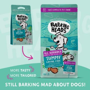 Barking Heads Adult Dog AH Tummy Lovin' Care Fish 2kg