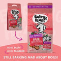 Barking Heads Adult Dog AH Hair Necessities Salmon 2kg