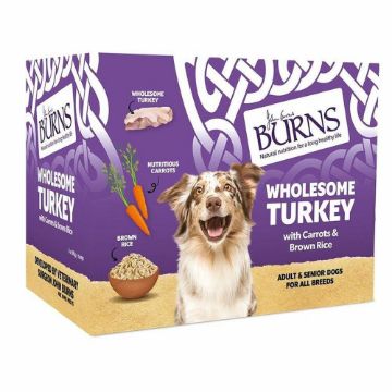 Burns Tray Adult Dog Wholesome Turkey 395g x 8