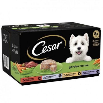 Cesar Foil Tray Garden Terrine Mixed Selection in Loaf 150g 8-pk x 3