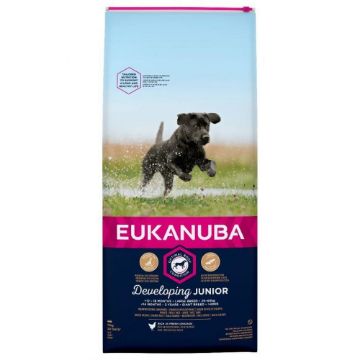 Eukanuba Junior Large / XL Chicken 12kg