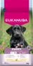 Eukanuba Puppy Large Breed Chicken 12kg