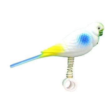 Beaks Parakeet on Spring x 1