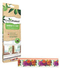 Green Protect Window Fly Trap 6pk x 1