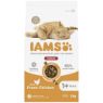 Iams Cat Indoor Chicken 2kg