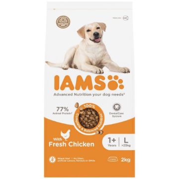 Iams Dog Large Breed Chicken 2kg