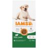 Iams Dog Large Breed Lamb 12kg