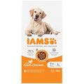 Iams Dog Senior 7+ Large Breed Chicken 12kg