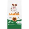 Iams Dog Small/Medium Lamb 12kg