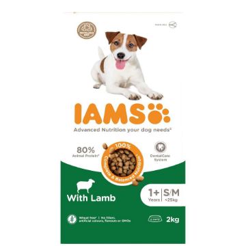 Iams Dog Small/Medium Lamb 2kg