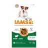 Iams Dog Small/Medium Lamb 2kg