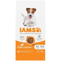 Iams Dog Senior 8+ Small/Medium <25kg Chicken 12kg