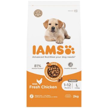 Iams Puppy Large Breed Chicken 2kg