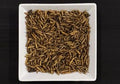 J&J Dried Calciworms 12.55kg Box