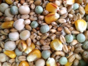 J&J Four Seasons General Economy Pigeon Food 20kg
