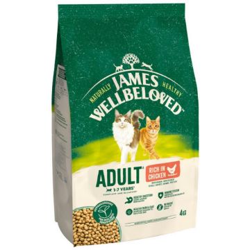 JWB Cat Chicken & Rice 4kg x 1