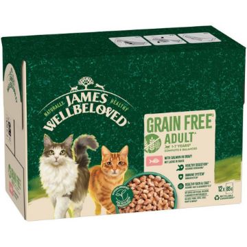JWB Adult Cat Pouch Grain Free Salmon Gravy 85g x 12