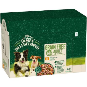 JWB Adult Dog Pouch Grain Free Turkey & Veg in Gravy 90g 12pk x 1