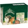JWB Senior Cat Pouch Grain Free Salmon Jelly 85g x 12