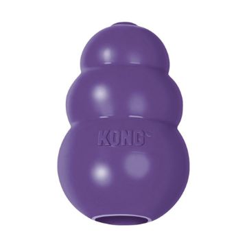 Senior KONG Medium x 1