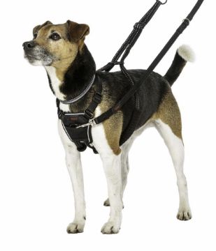 Halti No Pull Harness Small x 1