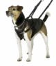 Halti No Pull Harness Small x 1