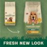 Harringtons Adult Dog Turkey & Veg 1.7kg