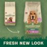 Harringtons Adult Dog Lamb & Rice 1.7kg