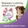 Beaphar Dog Calming Spot-On 3 Pipette x 1