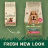 Harringtons Adult Dog Salmon & Potato 1.7kg