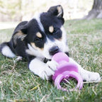 KONG Puppy Binkie Dummy Medium x 1
