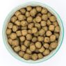 Burns Original Adult Dog Fish & Brown Rice 6kg
