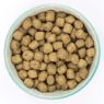 Burns Puppy Original Lamb & Rice 6kg