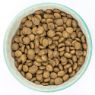 Burns Toy & Small Breed 2kg