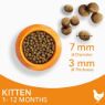 Iams Kitten Chicken 2kg