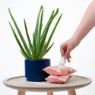 Adios Compostable 25 Pet Wipes x 1