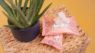 Adios Compostable 25 Pet Wipes x 1