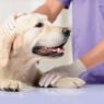 Beaphar DOG CaniComfort Calming Spray 30ml x 1