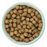 Burns Original Adult Dog Chicken & Brown Rice 2kg