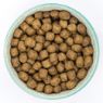 Burns Sensitive Dog Duck & Brown Rice 2kg