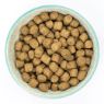 Burns Dog Alert Assistance Chicken & Brown Rice 6kg