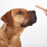 Fish4Dogs Love Salmon Sticks 85g x 10